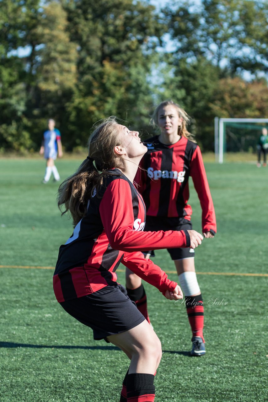 Bild 370 - B-Juniorinnen SV Henstedt Ulzburg - SG Weststeinburg : Ergebnis: 4:0